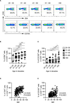 High Levels of CD244 Rather Than CD160 Associate With CD8+ T-Cell Aging